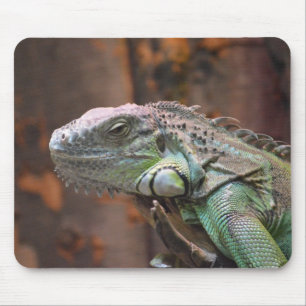 Mousepad with colourful Iguana lizard
