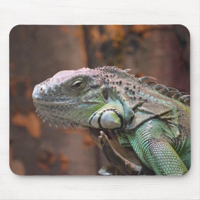 Mousepad  with colourful Iguana lizard (Front)