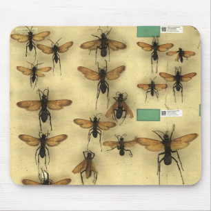 Mousepad with giant spider huntings wasps