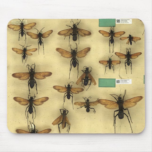 Mousepad with giant spider huntings wasps (Front)