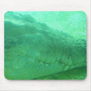 mousepad with green gator face