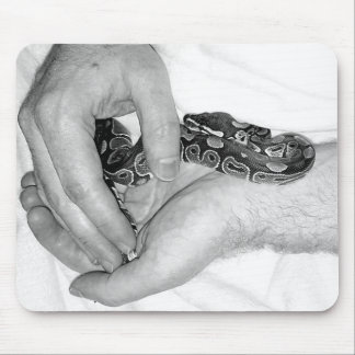 Mouser pad! Baby Nova morph BP in hands Mouse Mat