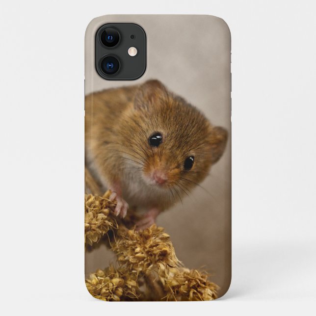 Mousie iPhone 11Case Case-Mate iPhone Case (Back)