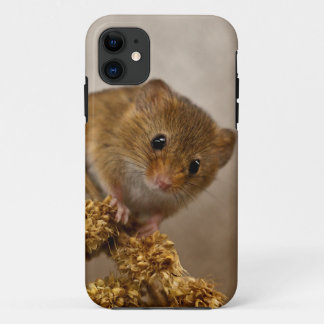 Mousie iPhone 5 Case