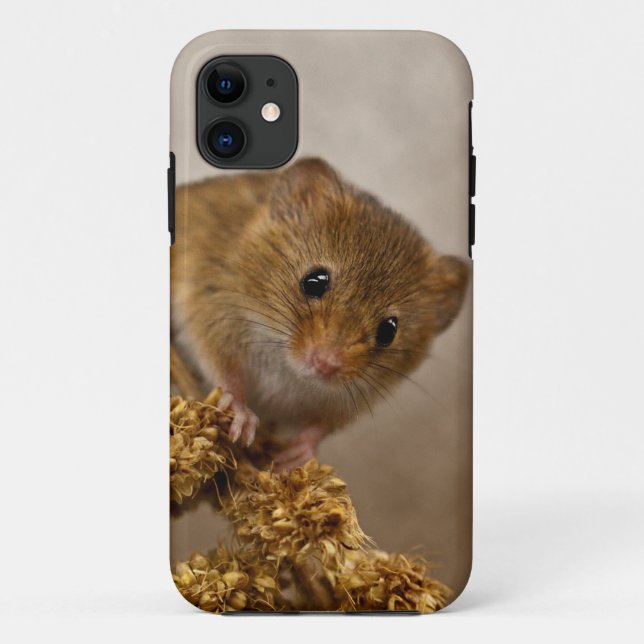 Mousie iPhone 5 Case (Back)
