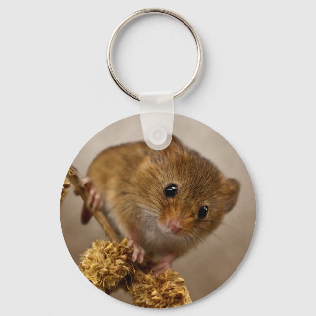 Mousie Keyring (Front)
