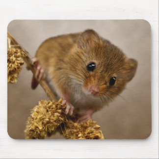 Mousie Mousemat