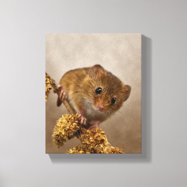 Mousie Wrapped Canvas Print (Front)