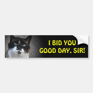 Moustache Cat Bids You Good Day, Sir Bumper Sticker