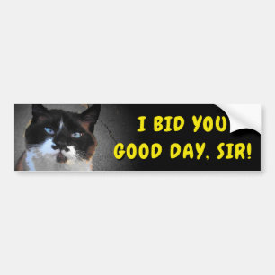 Moustache Cat Bids You Good Day, Sir Meme Bumper Sticker