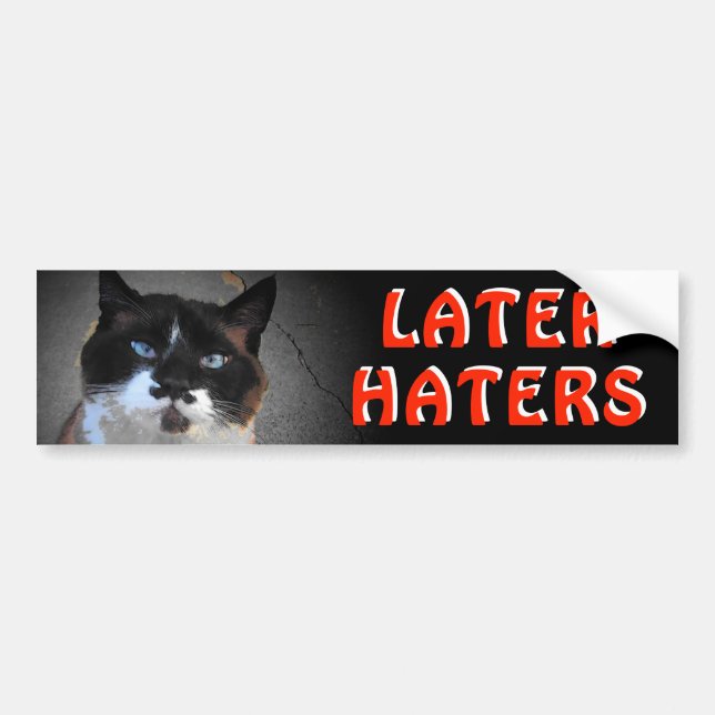 Moustache Cat Meme Says Later Haters Bumper Sticker (Front)
