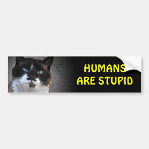 Moustache Cat Says Humans are Stupid Bumper Sticker