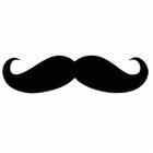 Moustache cutout disguise, funny moustache