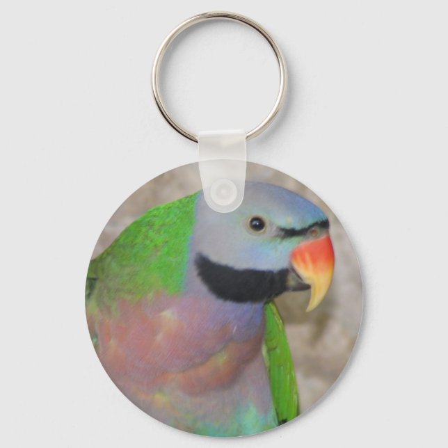 Moustached Parakeet Key Ring (Front)