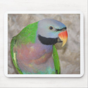 Moustached Parakeet Mouse Mat