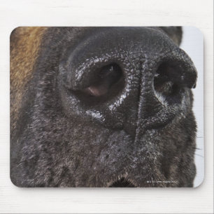 Mouth of Great Dane, close-up Mouse Mat