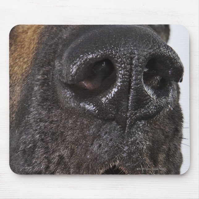 Mouth of Great Dane, close-up Mouse Mat (Front)