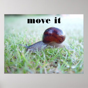 move it poster