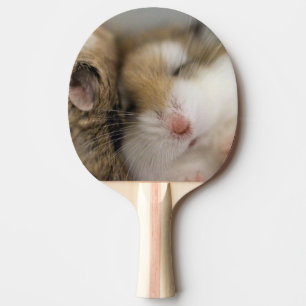 Move over Bob  Ping Pong Paddle