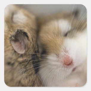 Move over Bob Square Sticker