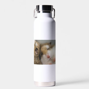 Move over Bob Water Bottle
