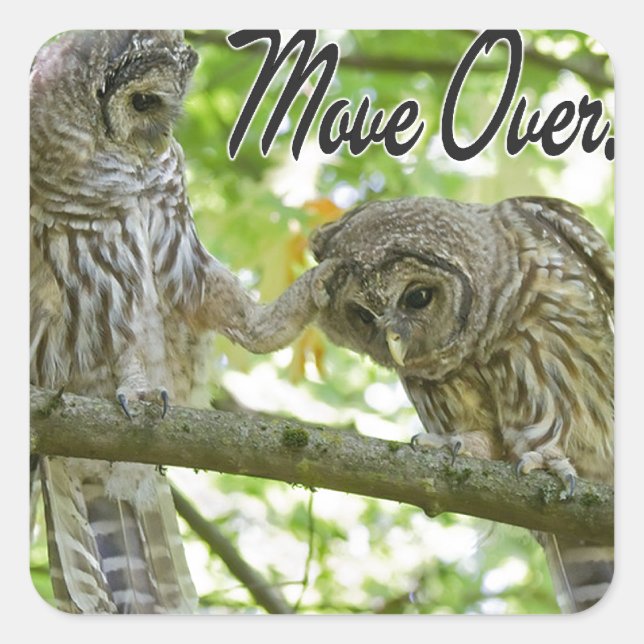 Move Over Owls Cute Square Sticker (Front)