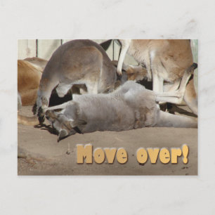 Move over! postcard