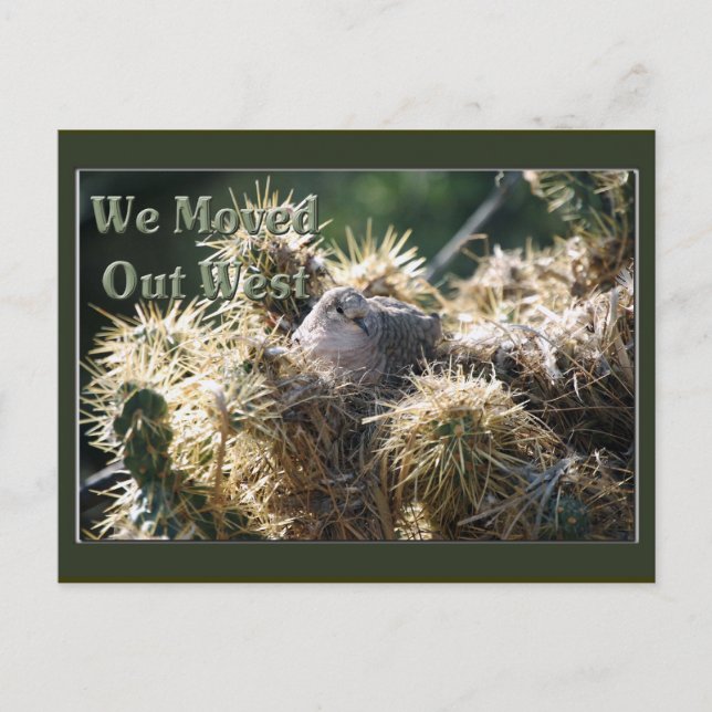 Moved Out West Postcard (Front)