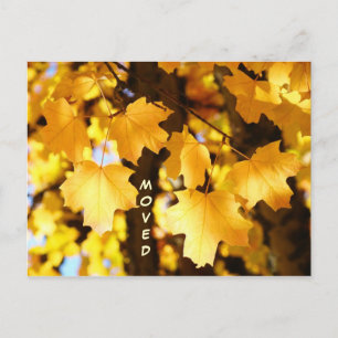 Moved Postcards custom Moving New Address Autumn
