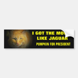 Moves Like Jaguar Pumpkin for President Bumper Sticker