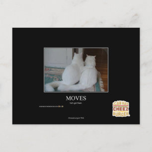 Moves Postcard