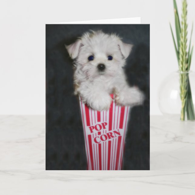 Movie Night Greeting Card (Front)