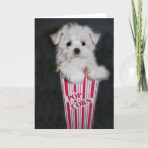 Movie Night Greeting Card