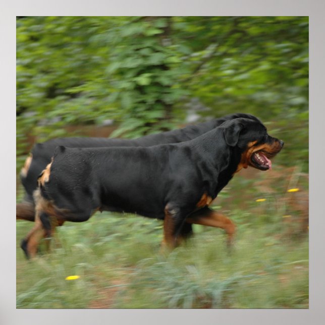 Movin' in the yard poster (Front)