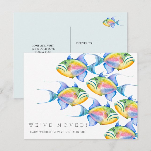 Moving Announcement Cards Colourful Tropical Fish  (Front/Back)