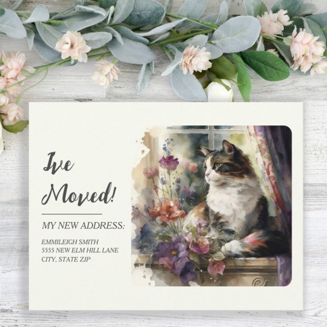 Moving Announcement Cat Window Purple Flowers Postcard (Creator Uploaded)