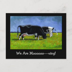 Moving Announcement: Holstein Cows: Pastel Art Announcement Postcard