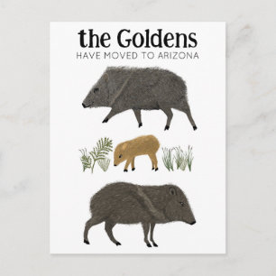 MOVING ANNOUNCEMENT Javelina Family Desert Arizona Postcard
