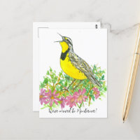 Moving Announcement Montana Meadowlark Bitterroot