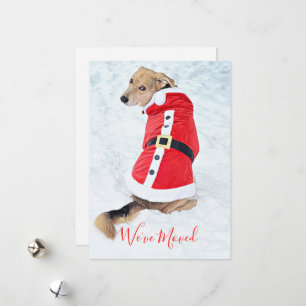 Moving Cute Christmas Dog In Snow Red Santa Suit Holiday Card