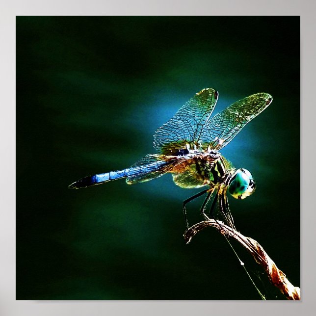 Moving Fast While Standing Still Poster (Front)