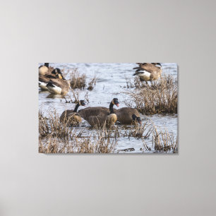 Moving In Canvas Print