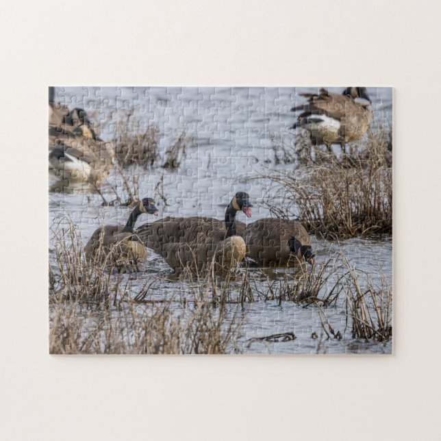 Moving In Jigsaw Puzzle (Horizontal)