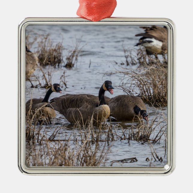 Moving In Metal Tree Decoration (Front)