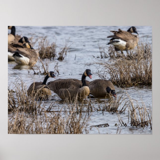 Moving In Poster (Front)