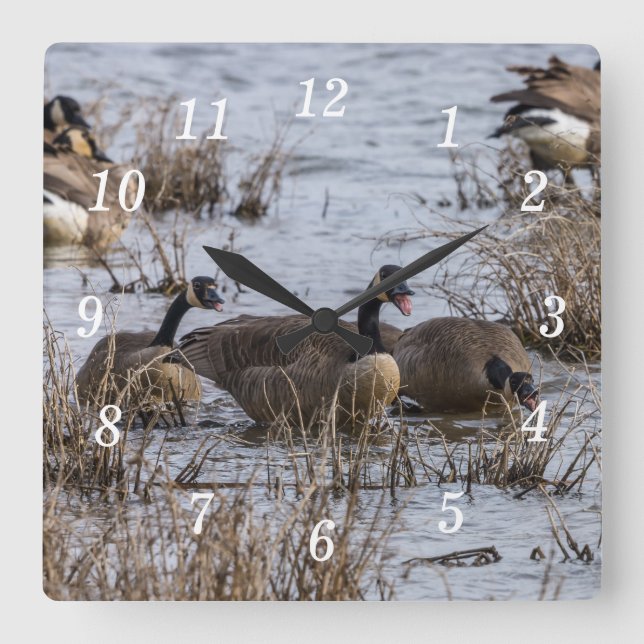 Moving In Wall Clock (Front)