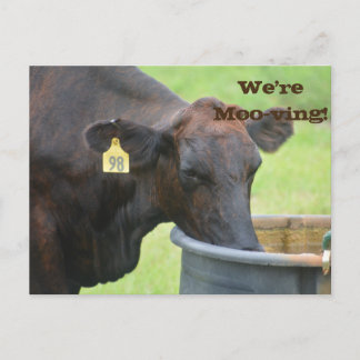 Moving/New Address Announcement Postcard