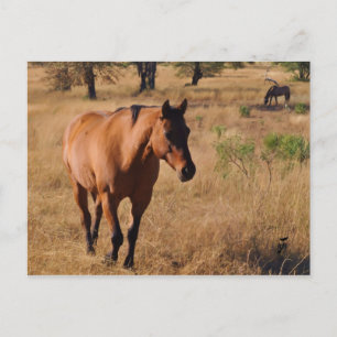 moving on announcement postcard