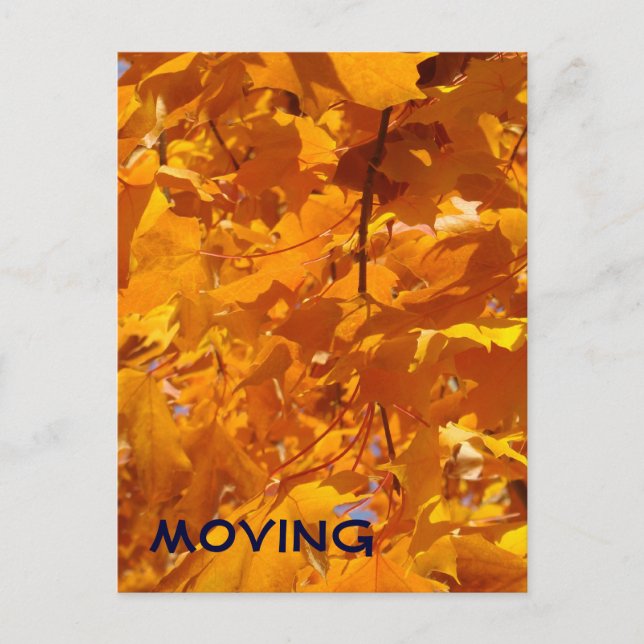 MOVING postcards Alerts Orange Leaves Moved (Front)