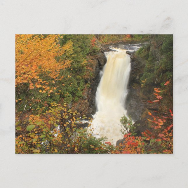 Moxie Falls in Autumn The Forks Maine Postcard (Front)